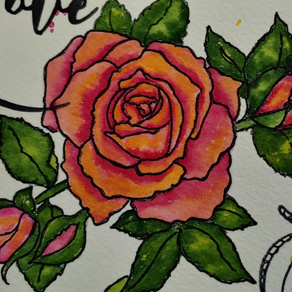 Water Media Wednesday – Episode 12 – A Rose by any other name…